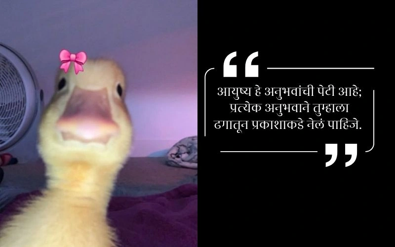 आयुष्य जीवनावर मराठी स्टेटस