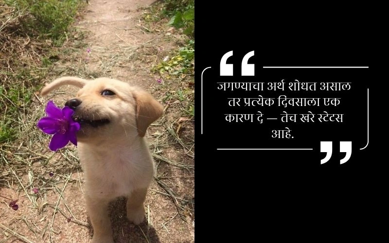 स्टेटस आयुष्य जीवनावर मराठी स्टेटस