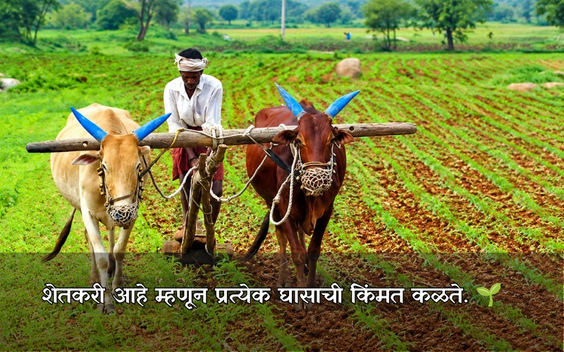 शेतकरी Caption In Marathi