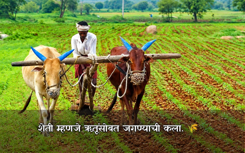 Sheti Caption In Marathi