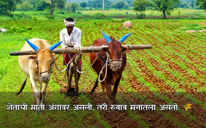 Royal Shetkari Caption In Marathi