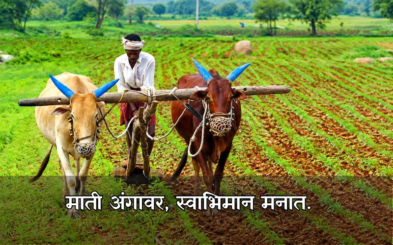 Royal Shetkari Caption In Marathi Text In Marathi