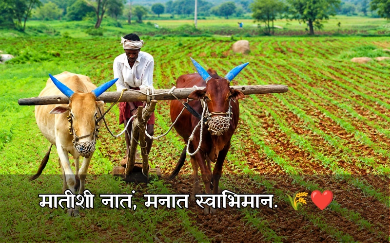 Royal Shetkari Caption In Marathi With Emoji